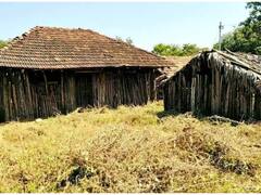 छत्तीसगढ़ के इस इलाके में बना है आत्माओं का घर, जानिए कैसे होता है आत्माओं का बसेरा