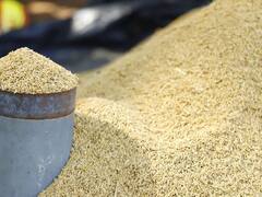 நெல்லின் ஈரப்பதம் 19 சதவீதமாக இருந்தாலும் கொள்முதல் செய்யப்படும் -  அதிரடியாக அறிவித்த அமைச்சர்