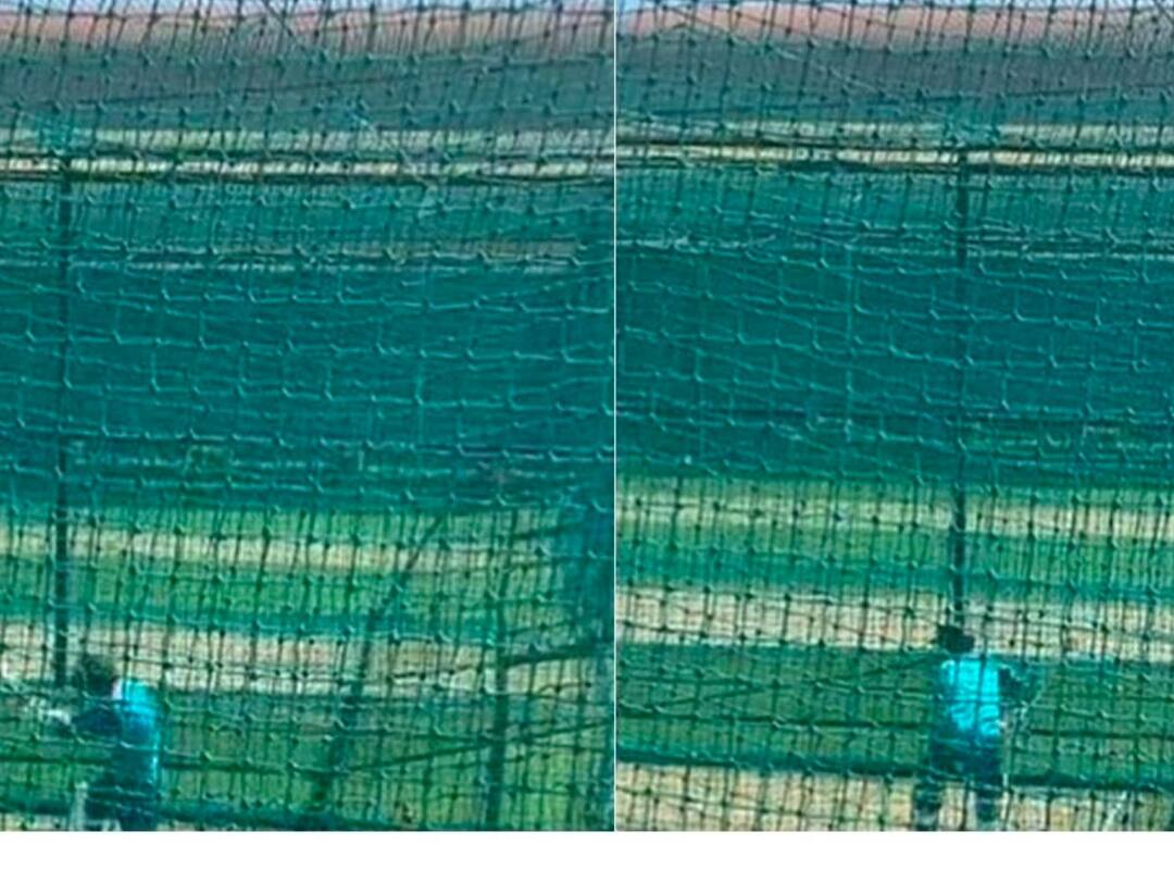David Warner Bats From Left To Right-Handed In Nets - Watch David Warner Bats From Left To Right-Handed In Nets - Watch