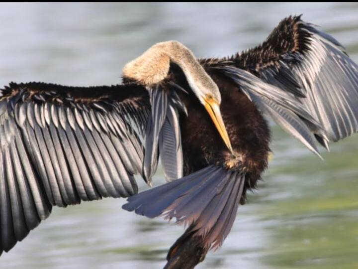 राजस्थान के जयपुर स्थित जवाहर कला केंद्र में फोटो प्रदर्शनी लगाई है. इसमें 11 साल के आर्यन शर्मा की खींची फोटोज भी लगाई गई हैं.