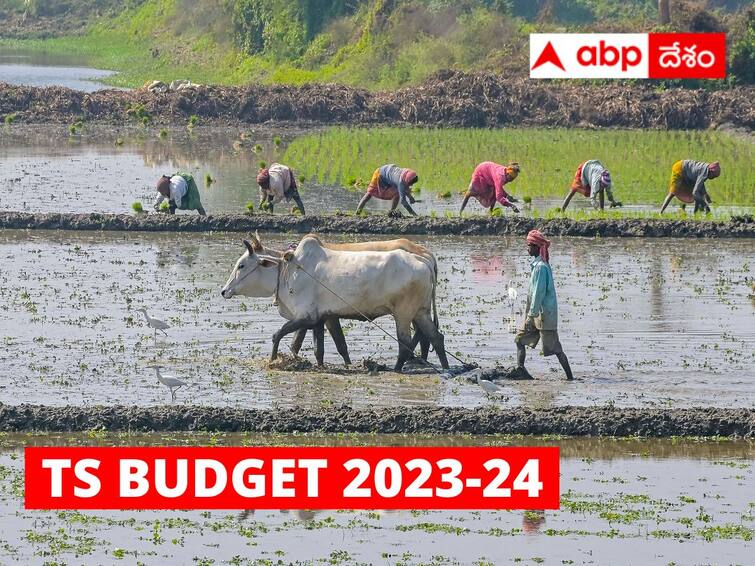 Telangana Budget 2023-24: Govt allocates huge funds to aggriculture department and rythu runa mafi Rythu Runa Mafi: బడ్జెట్‌లో రైతులకు బిగ్ గుడ్‌న్యూస్! భారీగా నిధులు - రుణమాఫీకి కూడా