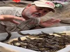 Viral Video: ਐਨਾਕਾਂਡਾ ਦੇ ਬੱਚੇ ਨਾਲ ਖੇਡ ਰਿਹਾ ਸੀ ਵਿਅਕਤੀ, ਉਦੋਂ ਹੀ ਕਰ ਦਿੱਤਾ ਹਮਲਾ, ਵਾਲ-ਵਾਲ ਬਚਿਆ, ਦੇਖੋ ਰੋਮਾਂਚਕ ਵੀਡੀਓ