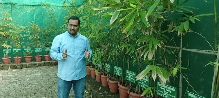 maharashtra news nashik news Educated in IT, nashik Prashant date Success Story achieved success in bamboo farming Success Story : आयटी क्षेत्र सोडलं, बांबू शेतीची नातं जोडलं, वाचा नाशिकच्या तरुणाची यशोगाथा!