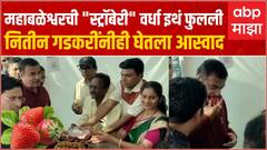 Wardha Strawberry : महाबळेश्वरची 