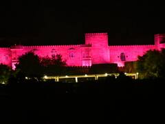 Sidharth Kiara Wedding: सिद्धार्थ-कियारा की मेहंदी और संगीत के लिए गुलाबी रंग में रंगा सूर्यगढ़ पैलेस, सामने आईं खूबसूरत तस्वीरें