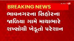 Bhavnagar: માથાભારે શખ્સો દ્વારા ખેતરમાં પશુઓ છોડી મુકતા ખેડૂતોને નુકશાન