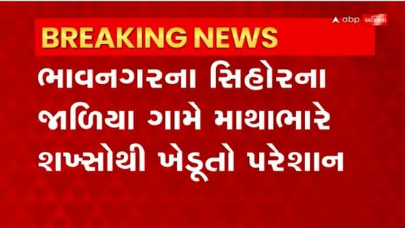 Bhavnagar: માથાભારે શખ્સો દ્વારા ખેતરમાં પશુઓ છોડી મુકતા ખેડૂતોને નુકશાન