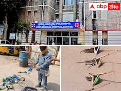 ఆ ఆస్పత్రిలో ఐదేళ్లుగా ఎలుకలపై యుద్ధం -  కోట్లు ఖర్చయ్యాయి కానీ ఇప్పటికీ ...