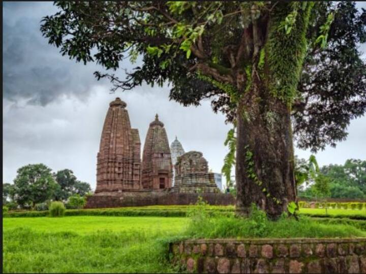 सीनियर सिटीजन किसी गंभीर बीमारी से ग्रसित नहीं होना चाहिए. 25 लोगों का समूह भी इसके तहत आवेदन कर सकता है. साथ ही पति-पत्नी भी इस योजना का लाभ उठा सकते हैं. (PC- dharmasva.mp.gov.in)