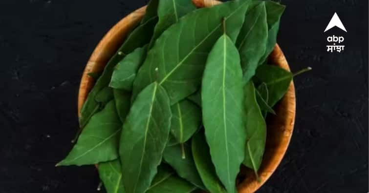 curry-leaves-hair-health-benefits-know-how-to-use-it ਸਿਰਫ ਪਕਵਾਨਾਂ ਦੀ ਹੀ ਨਹੀਂ..ਸਗੋਂ ਵਾਲਾਂ ਦੀ ਗ੍ਰੋਥ ਵੀ ਵਧਾਉਂਦਾ ਇਹ ਪੱਤਾ, ਇਦਾਂ ਕਰੋ ਵਰਤੋਂ