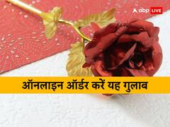 Rose Day पर गिफ्ट करें ऑनलाइन मिल रहा यह गुलाब, मुरझाएगा नहीं और सजावट में भी आएगा काम
