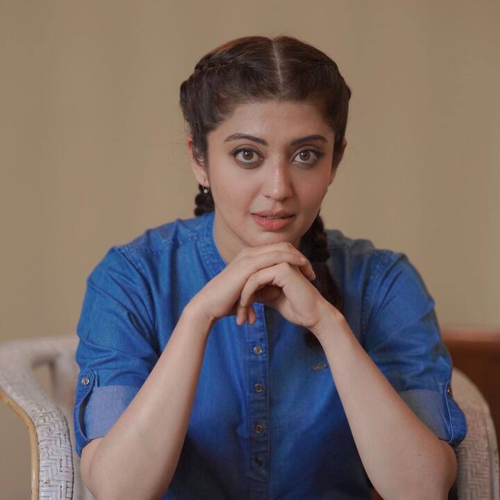 ఆ తర్వాత పలు సినిమాలు చేసిన పెద్దగా గుర్తింపు రాలేదు. Photo Credit: Pranitha Subhash/ Instagram
