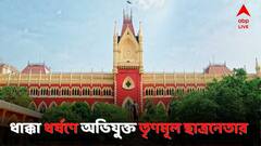 সিঙ্গল বেঞ্চের পর ডিভিশন বেঞ্চ, ফের ধাক্কা নাবালিকা ধর্ষণে অভিযুক্ত কাঁথির তৃণমূল ছাত্রনেতার