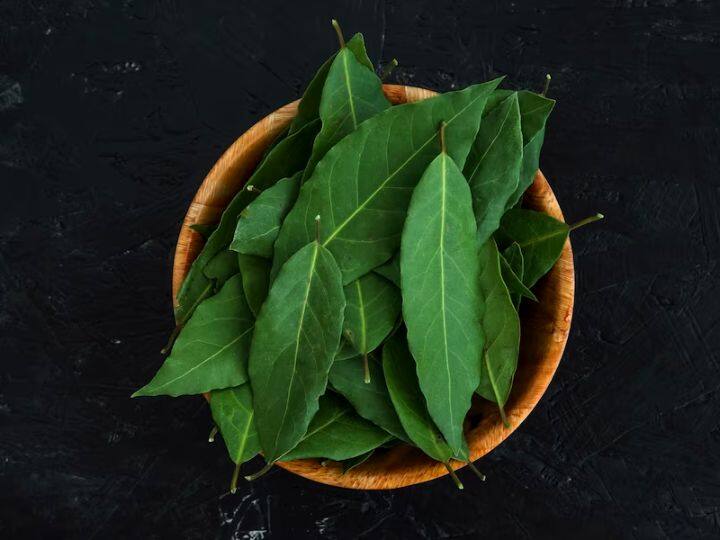 Curry Leaves Hair Health Benefits Know How To Use It Curry Leaves: सिर्फ पकवान नहीं...बालों की भी शान बढ़ाता है करी पत्ता, इसका ऐसे करें इस्तेमाल 