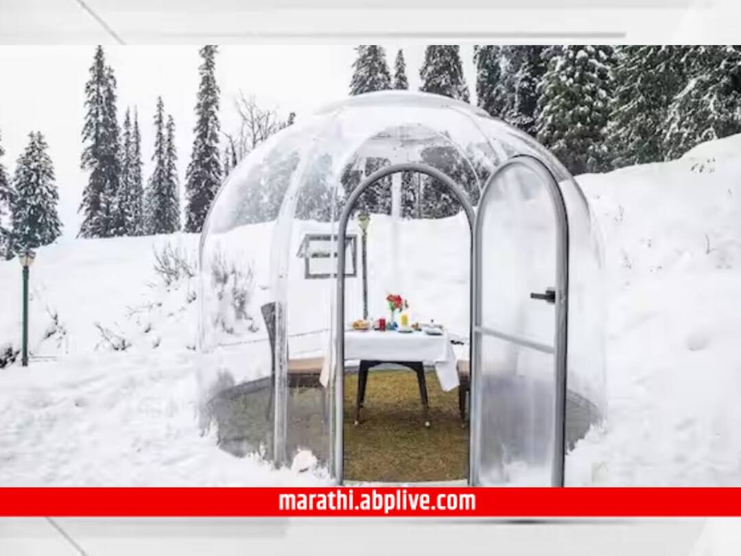 Glass Igloo Restaurant in Gulmerg India s First glass Igloo restaurant opened Glass Igloo : देशातील पहिलं 'ग्लास इग्लू' रेस्टॉरंट ; काचेच्या भिंतीपलिकडून घ्या बर्फवृष्टीचा आनंद