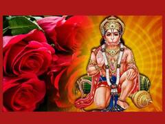 Valentine Day: लव मैरिज में आ रही बाधा दूर करेगा लाल गुलाब का ये उपाय, बस न करें ये गलती