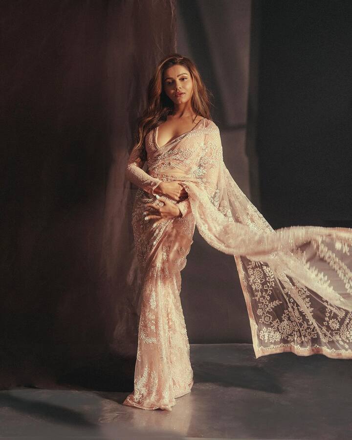 रुबीना ने फोटोज में पीच कलर की ट्रांसपैरेंट साड़ी पहनी हुई है. इस साड़ी में उनका फिगर कमाल का लग रहा है.