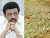 CM Stalin : டெல்டா மாவட்டங்களில் பயிர் சேதம்... நிவாரணத் தொகை அறிவித்தார் முதலமைச்சர் மு.க.ஸ்டாலின்