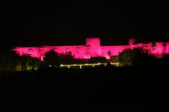 Sidharth Kiara Wedding: सिद्धार्थ-कियारा की मेहंदी और संगीत के लिए गुलाबी रंग में रंगा सूर्यगढ़ पैलेस, सामने आईं खूबसूरत तस्वीरें