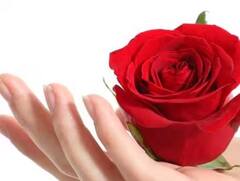 Valentine Day: ਲ਼ਵ ਮੈਰਿਜ 'ਚ ਆ ਰਹੀ ਹੈ ਰੁਕਾਵਟ, ਤਾਂ ਕਰੋ ਗੁਲਾਬ ਦੇ ਫੁੱਲ ਨਾਲ ਇਹ ਉਪਾਅ