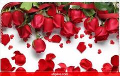 Valentine Day: ਲ਼ਵ ਮੈਰਿਜ 'ਚ ਆ ਰਹੀ ਹੈ ਰੁਕਾਵਟ, ਤਾਂ ਕਰੋ ਗੁਲਾਬ ਦੇ ਫੁੱਲ ਨਾਲ ਇਹ ਉਪਾਅ