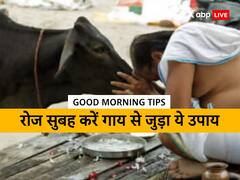 गुड मॉनिंग टिप्स: गाय से जुड़ें ये उपाय प्रतिदिन करने से मिलती है शांति, खुलते हैं तरक्की के रास्ते