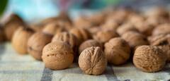 Walnut : வால்நட்ஸ் சாப்பிடுவதால் இவ்வளவு நன்மைகளா..