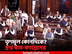 আদানি-ইস্যুতে বিরোধী মঞ্চে নেই তৃণমূল! বিজেপিকে সুবিধা? প্রশ্ন বাম-কংগ্রেসের