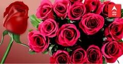 ਆਪਣੇ ਸਪੈਸ਼ਨ-ਵਨ ਨੂੰ ਲਾਲ ਗੁਲਾਬ ਹੀ ਕਿਉਂ ਦਿੱਤਾ ਜਾਂਦਾ ਹੈ? ਫੁੱਲ ਤਾਂ ਕਈ ਤਰ੍ਹਾਂ ਦੇ ਹੁੰਦੇ...