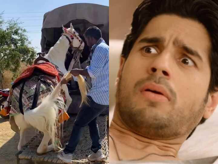 Sidharth Malhotra Kiara Advani wedding updates sidharth mare faltered see latest barat ghodchadhi updates Sidharth-Kiara Wedding: बारात से पहले सिद्धार्थ की घोड़ी हो जाती हादसे का शिकार! वीडियो देख एक पल के लिए सहम जाएगा आपका दिल