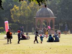 Delhi Weather: National Capital Records 29 Degrees Celsius In First Week Of February, Hottest Since 2011