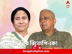 হিন্দিভাষী নেতাদের নিয়ে প্রচার, তাতেই বাংলার মেয়ের সামনে ফিকে হয়ে যায় বিজেপি! বললেন তথাগত