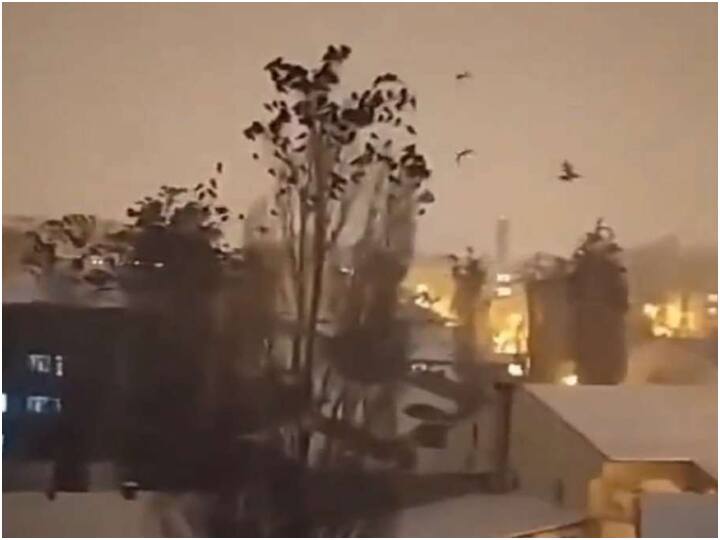 birds flying here and there before Turkey earthquake shocking viral video Turkey Earthquake: परिंदों को लग गई थी भूकंप आने की आहट..! वायरल Video में किया गया दावा