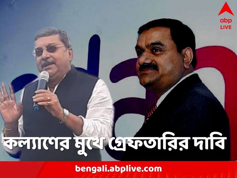 TMC MP Kalyan Banerjee demands arrest of Gautam Adani in Lok Sabha Kalyan Banerjee: তদন্ত শুধু বিরোধীদের বিরুদ্ধে! লোকসভায় আদানিকে গ্রেফতারের দাবি তুললেন কল্যাণ