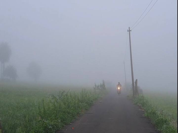 நாகையில் பனிப்போர்வை போர்த்தியது போல காட்சியளித்த விவசாய நிலங்கள்