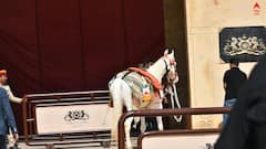 Sid Kiara Wedding: কিয়ারা ও সিদ্ধার্থের বিয়েতে সাজছে ঘোড়া, ভালোবাসার গোলাপ ছড়াতে প্রস্তুত কামান