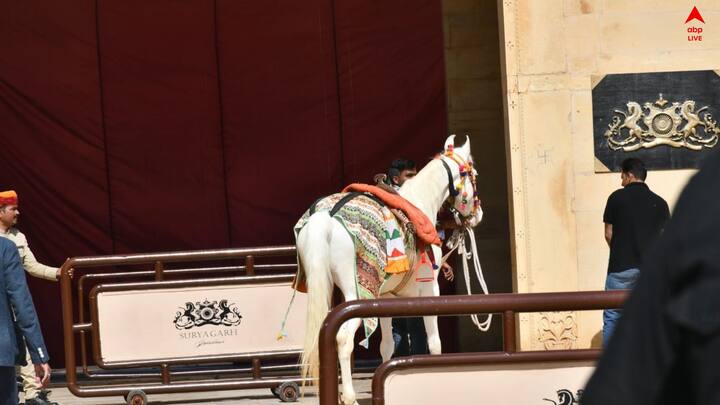 আর তাঁদের বিয়ে ঘিরে প্রস্তুতি তু্ঙ্গে। আনা হয়েছে ঘোড়া, কামান। সিদ্ধার্থ ও কিয়ারার বিয়ের অনুষ্ঠান প্রায় ৩ দিন ব্যাপী হতে চলেছে।