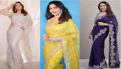 Madhuri Dixit Look : ਮਾਧੁਰੀ ਦੀਕਸ਼ਿਤ ਟ੍ਰੇਡਿਸ਼ਨਲ ਲੁੱਕ 'ਚ ਢਾਹੁੰਦੀ ਹੈ ਕਹਿਰ , ਜੇਕਰ ਸਾੜੀ ਪਹਿਨਣਾ ਪਸੰਦ ਹੈ ਤਾਂ ਇਹ ਲੁੱਕ ਕਰੋ ਟ੍ਰਾਈ