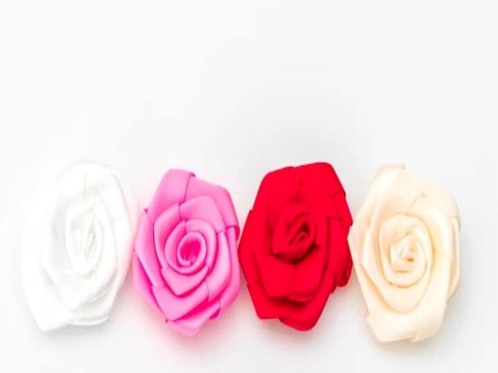 Happy Rose Day 2023 Do you know the meaning of roses of different colors learn interesting things Happy Rose Day 2023: गुलाब के अलग-अलग रंगों के हैं अलग-अलग मायने, आपने किस रंग का गुलाब दिया