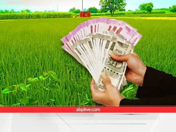 crop compensation in Tamil Nadu government will give  of Rs 20000 per hectare बारिश ने बर्बाद की फसल, यहां सरकार प्रति हेक्टेयर के हिसाब से किसानों को देगी 20 हजार रुपये