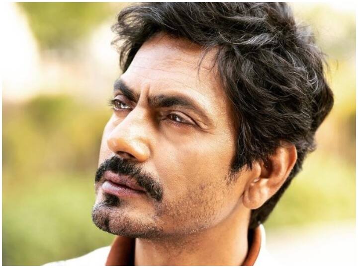 Nawazuddin Siddiqui Lawyer Makes Explosive Allegations Against His Ex-Wife Aaliya Says She Is Still Married To Vinay Bhargav नवाजुद्दीन के वकील ने आलिया पर लगाया सनसनीखेज आरोप, कहा- विनय भार्गव से अब तक नहीं हुआ उनका तलाक