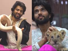 పాములు, పులులతో విజయ్ దేవరకొండ ఆటలు - జాగ్రత్త అన్నా అంటున్న ఫ్యాన్స్