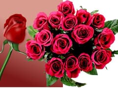 उस 'स्पेशल वन' को खूबसूरत महकता लाल गुलाब ही क्यों दिया जाता है...फूल तो और भी हजार तरह के हैं?