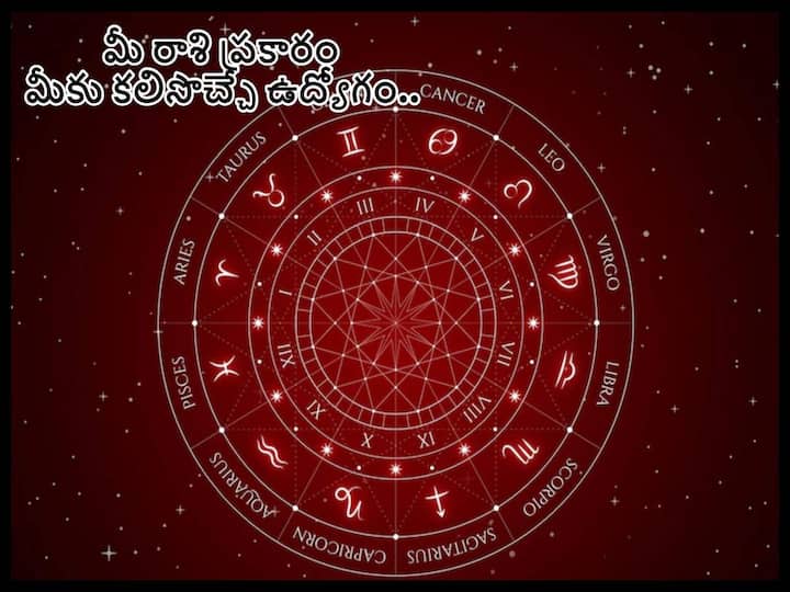 Job And Business Astrology for Aries, Gemini and other Zodiac signs in Telugu Job And Business Astrology: మీ రాశి-నక్షత్రం ప్రకారం మీరు ఏ రంగంలో సక్సెస్ అవుతారో తెలుసా!