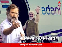 ‘আগে আদানির বিমানে ঘুরতেন প্রধানমন্ত্রী, এখন মোদিজির বিমানে ঘোরেন আদানি’, সংসদে রাহুল