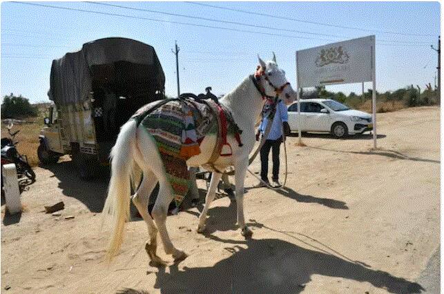 ਸਿਧਾਰਥ ਮਲਹੋਤਰਾ ਘੋੜੀ 'ਤੇ ਸਵਾਰ ਹੋ ਕੇ ਆਪਣੀ ਦੁਲਹਨ ਨੂੰ ਵਿਆਹੁਣ ਜਾਣਗੇ ।