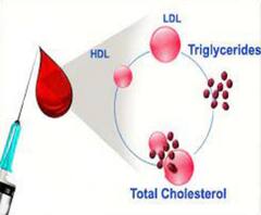 ਕੁੜੀਆਂ ਨੂੰ ਰੂਟੀਨ ਚੈਕਅੱਪ 'ਚ ਕਰਵਾਉਣੇ ਚਾਹੀਦੇ ਇਹ ਟੈਸਟ, ਨਹੀਂ ਤਾਂ ਇਸ ਖਤਰਨਾਕ ਬਿਮਾਰੀ ਦਾ ਹੋ ਸਕਦੀਆਂ ਸ਼ਿਕਾਰ