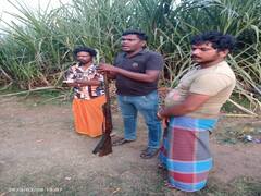 Crime : கோவையில் போலீஸ் அதிரடி சோதனை ; கஞ்சா, நாட்டு துப்பாக்கி, லாட்டரி சீட்டுகள் பறிமுதல்