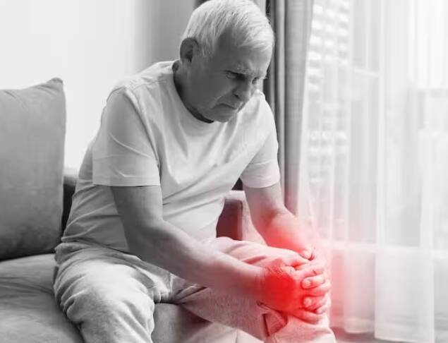 Arthritis Pain: ਜੇਕਰ ਤੁਸੀਂ ਵੀ ਗਠੀਏ ਦੇ ਦਰਦ ਤੋਂ ਪਰੇਸ਼ਾਨ ਹੋ ਤਾਂ ਅੱਜ ਅਸੀਂ ਤੁਹਾਨੂੰ ਉਨ੍ਹਾਂ ਪੰਜ ਜੜ੍ਹੀਆਂ ਬੂਟੀਆਂ ਬਾਰੇ ਦੱਸਦੇ ਹਾਂ, ਜਿਨ੍ਹਾਂ ਦੀ ਵਰਤੋਂ ਨਾਲ ਇਸ ਦੇ ਦਰਦ ਨੂੰ ਘੱਟ ਕੀਤਾ ਜਾ ਸਕਦਾ ਹੈ।