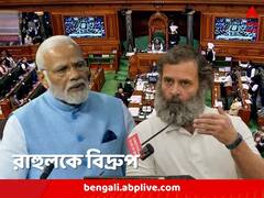 'কংগ্রেসকে ডোবালেন যিনি, গবেষণা হোক তাঁকে নিয়েও', 'আদানি আদানি' রবের মধ্যে সংসদে রাহুলকে নিশানা মোদির